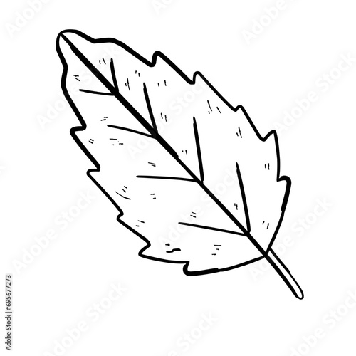 autumn leaves outline