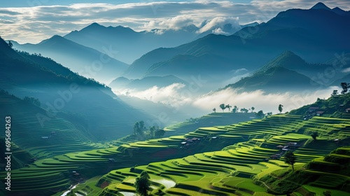 Lush terraced rice paddies