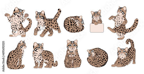 Set of Endangered Leopard Cat, an Endemic Species in Asia - Animal Character Design with Flat Colors in Various Poses, Isolated on White Background.