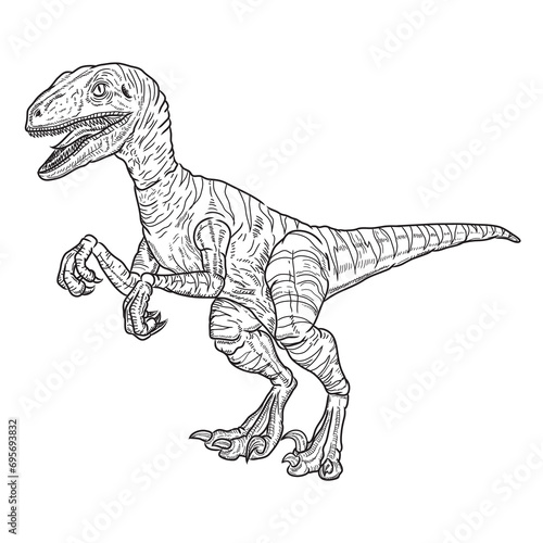 vector drawing velociraptor dinosaur, black lines