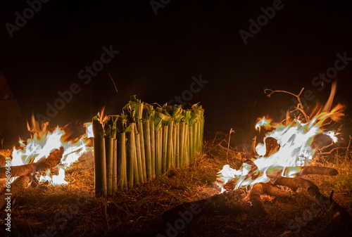 Coconut Sticky Rice in Bamboo Trunk Roasted by Campfire 