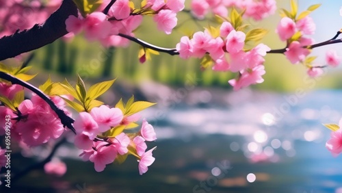 spring theme nature cinematic wallpaper vibrant