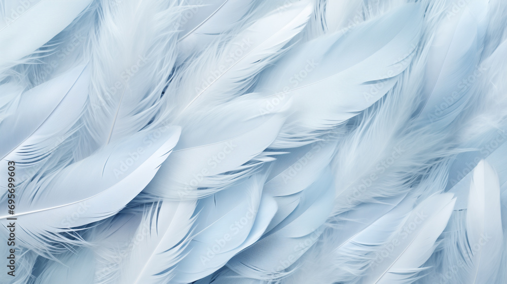 Obraz premium pale blue feathers delicate backgrounds, top view