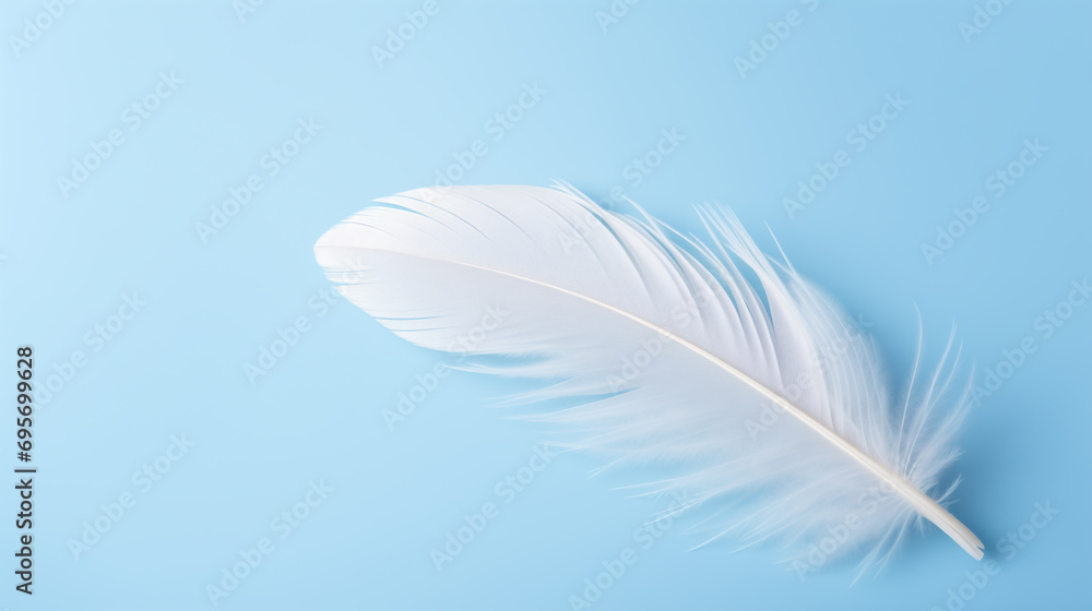 Obraz premium white feather on a pale blue background