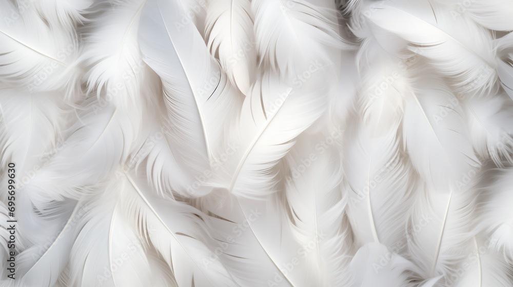 Fototapeta premium white feathers delicate backgrounds, top view