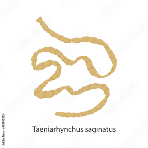 Parasites, worms, helminths in humans, cats, dogs. Hand drawing.