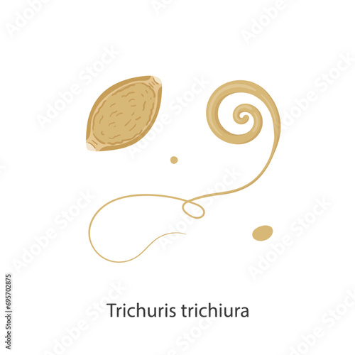 Parasites, worms, helminths in humans, cats, dogs. Hand drawing.