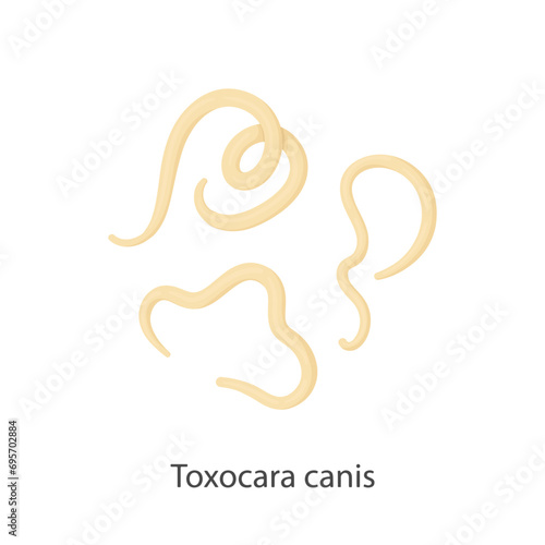 Parasites, worms, helminths in humans, cats, dogs. Hand drawing.