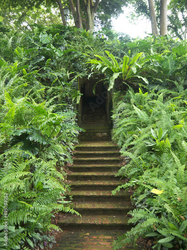 Stair to Old abandoned fallout shelter dark entrance in the jungle totally overgrown with lush green tropical plants and birds nest fern
