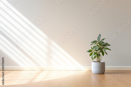 a plant in a pot on a wooden floor © onThKim