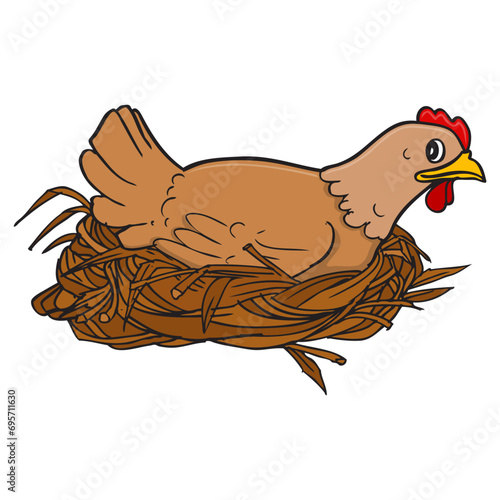 broody hen vector illustration