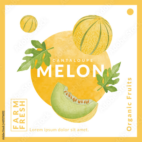 Cantaloupe Melon packaging design templates, watercolour style vector illustration.