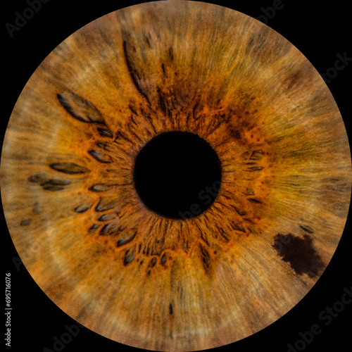Brown iris macro. Human pupil on black background close up