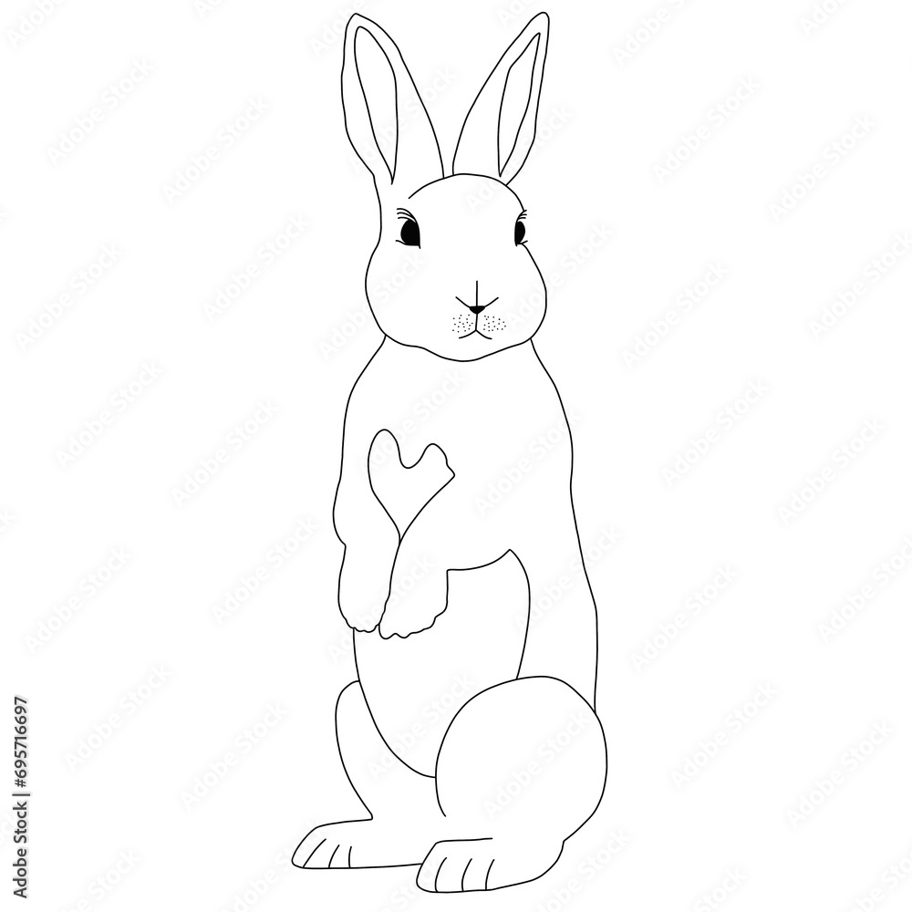 rabbit, bunny, animal rabbit, bunny, animal