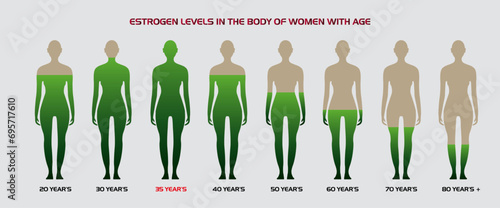 estrogen hormone level, High ,low, Female, Women menopause chart, woman body, silhouette and age data, medical, educational, and scientific concepts, Menstruation,occupancy rate Illustration, Vector, 