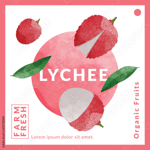 Lychee packaging design templates, watercolour style vector illustration.