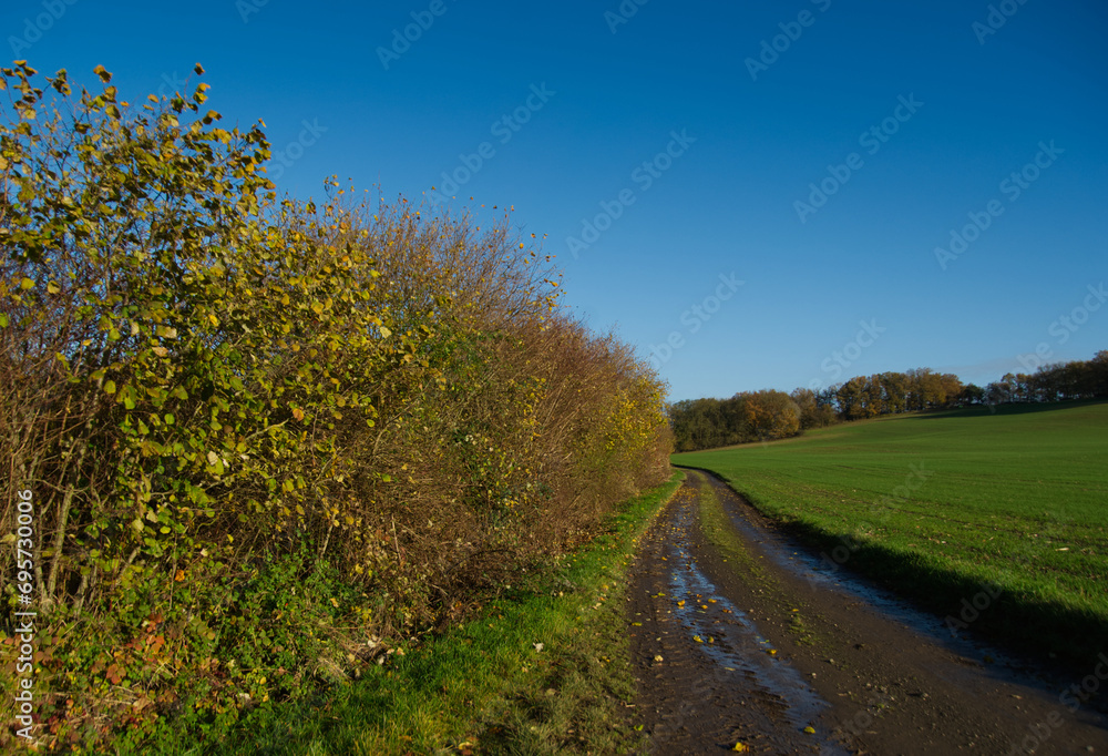 Feldweg