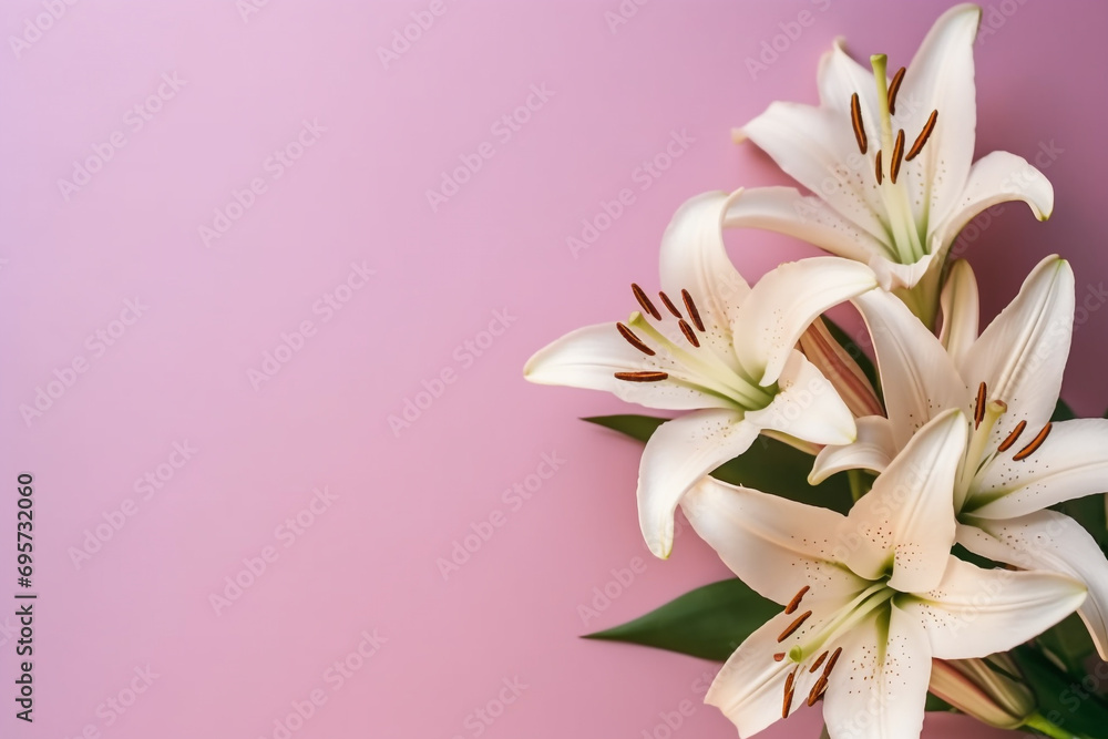 Woman's day, Mothers day, anniversary, marriage, birthday concept. Top view of beautiful lilies flowers blossom on plain background with blank copy space. Muted pastel colors