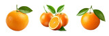 Vibrant Tangerine: Exquisite Fruit in Isolated Detail