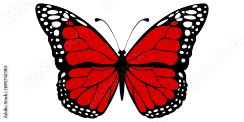 Photography Beautiful realistic butterfly with red wings