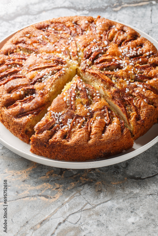 Eplekake is a delicious, one-bowl cinnamon apple cake that is the kind of thing fall dreams are made of close-up on a plate on the table. Vertical Eplekake is a delicious, one-bowl cinnamon apple cake that is the kind of thing fall dreams are made of close-up on a plate on the table. Vertical