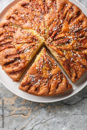 Authentic Norwegian apple cake Eplekake delicious dessert that perfect for autumn on a plate close-up on the table. Vertical top view from above photo