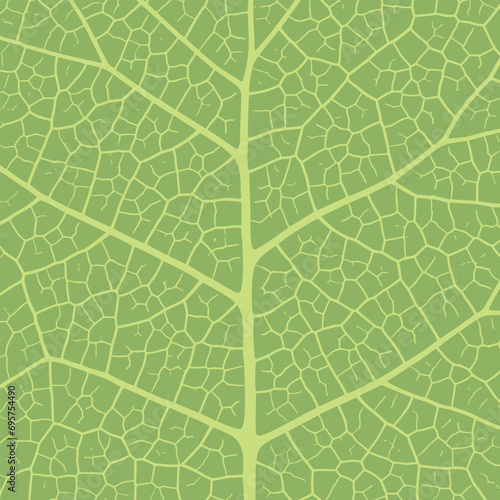 Leaf vein texture abstract background with close up plant leaf cells ornament texture pattern.