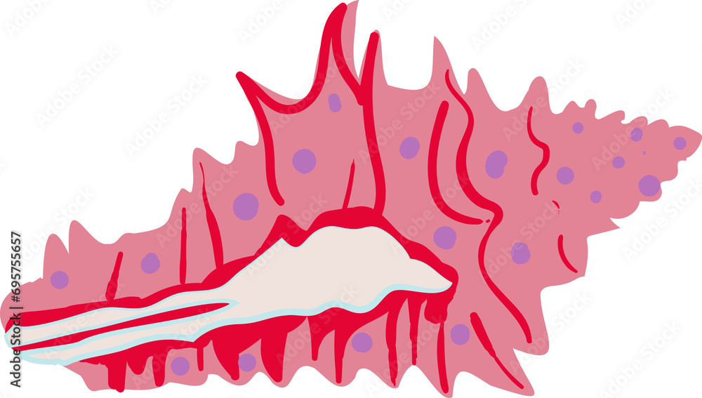 Watercolor Seashells Element Watercolor Seashells Element