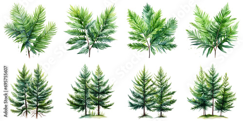 spruce trees and cypress leaves Artificial Intelligence Generative photo