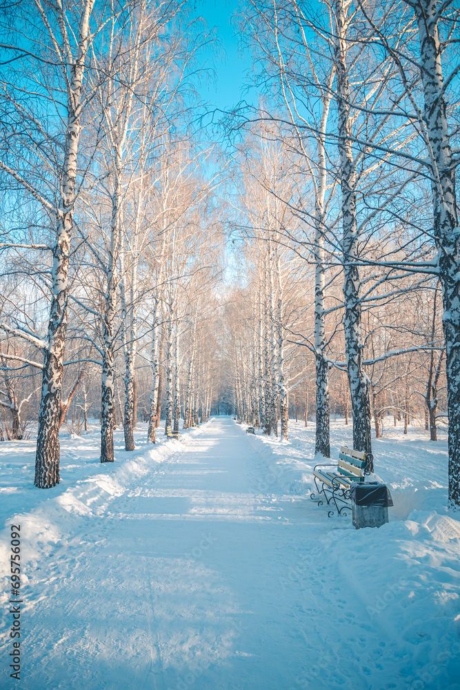 Snow-covered alley in the park in winter Snow-covered alley in the park in winter