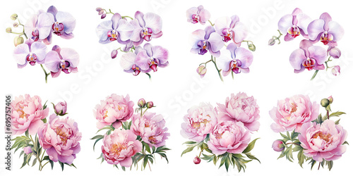 watercolor painting of camellias and phalaenopsis orchid flowers Artificial Intelligence Generative