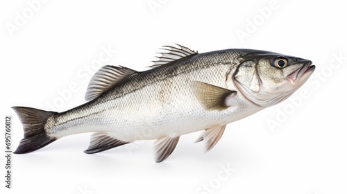 A fish standing upright on a white surface. Can be used to depict uniqueness or going against the flow © Fotograf