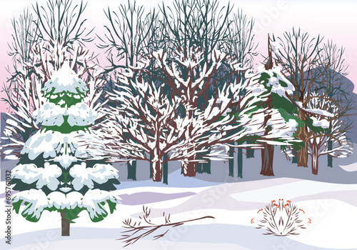 winter landscape in forest with snow and tree vector illustration