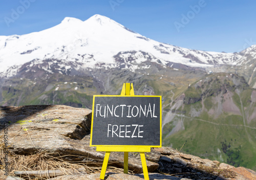 Functional freeze symbol. Concept words Functional freeze on beautiful black blackboard. Chalkboard. Beautiful mountain Elbrus background. Business psychology functional freeze concept. Copy space. © Dzmitry