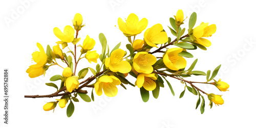 yellow bush flowers Artificial Intelligence Generative