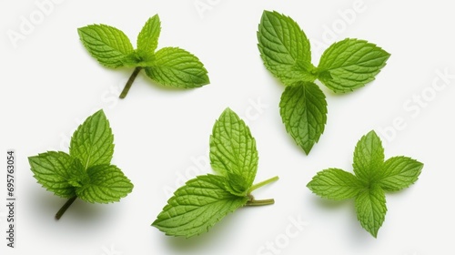 A group of fresh mint leaves placed on a clean white surface. Ideal for food and beverage-related projects