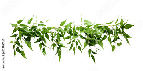 Tela vernonia eliptica green leaves hanging wreath Artificial Intelligence Generative