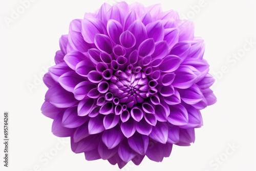 A close up view of a purple flower on a clean white background. Perfect for floral themes and nature-inspired designs