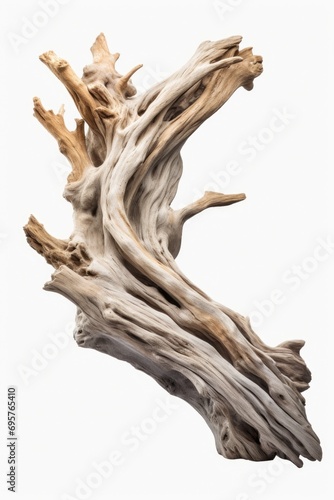 A detailed close-up view of a piece of driftwood. Can be used as a background or texture element