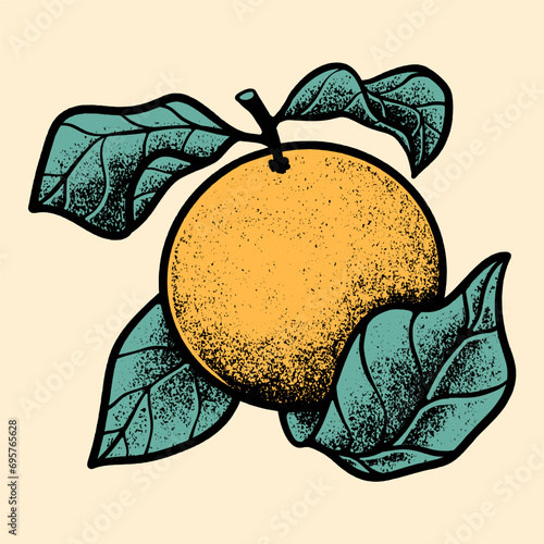 Orange fruits illustrations textured