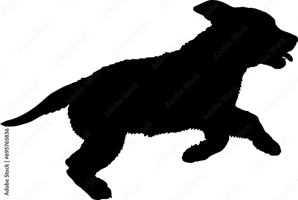 Labrador puppy runs High quality Dog silhouette Breeds Bundle Dogs on the move. Dogs in different poses.
The dog jumps, the dog runs. The dog is sitting. The dog is lying down. The dog is playing