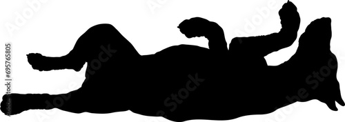 German Pinscher dog lying Dog silhouette Breeds Bundle Dogs on the move. Dogs in different poses.
The dog jumps, the dog runs. The dog is sitting. The dog is lying down. The dog is playing photo