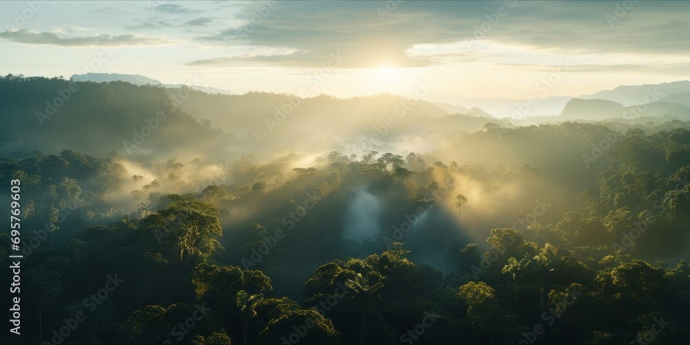 Aerial view of a misty rainforest at sunrise with rays of light piercing through.