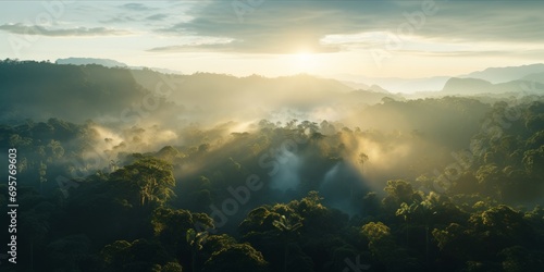 Aerial view of a misty rainforest at sunrise with rays of light piercing through.