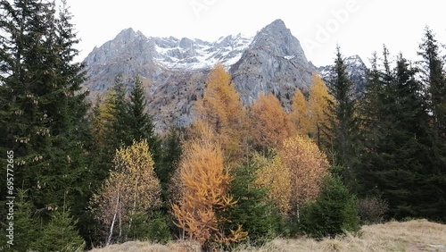 Mountain panorama with pine trees and snow-capped peaks, Pizzo Ligoncio seen from the Onio refuge in the Oro Valley, Val Masino.