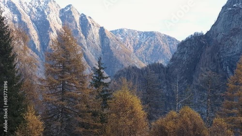 Mountain panorama with pine trees and snow-capped peaks, Pizzo Ligoncio seen from the Onio refuge in the Oro Valley, Val Masino.