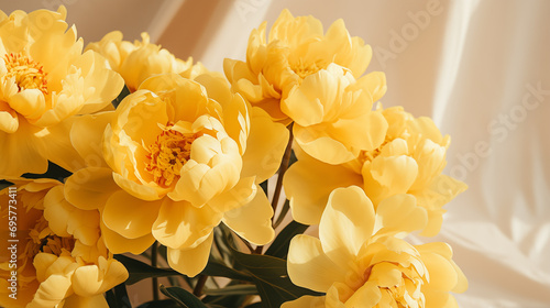 Fototapeta Naklejka Na Ścianę i Meble -  Bouquet of stylish peonies close-up. Yellow peony flowers. Close-up of flower petals. Floral greeting card or wallpaper. Delicate abstract floral pastel background. Greeting card. Generated AI