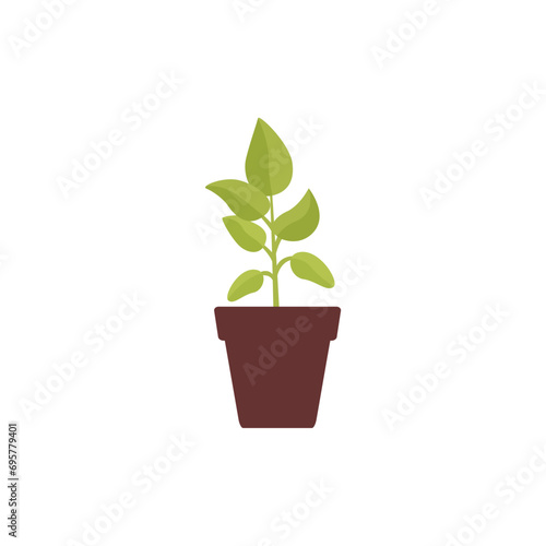 set of plants with brown pots pot