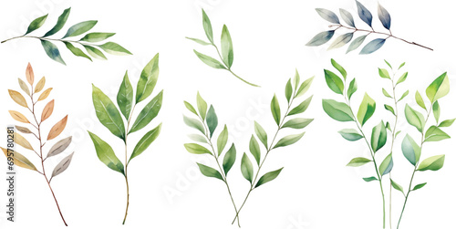 Watercolor leaf stems on a white background photo
