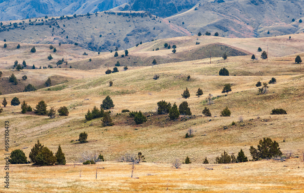 Fototapeta premium Oregon High Desert in the Cascade Range and south of the Blue Mountains, Oregon